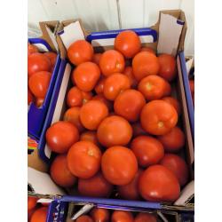 Tomater 6 kg