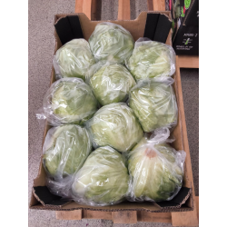 Iceberg 10 stk