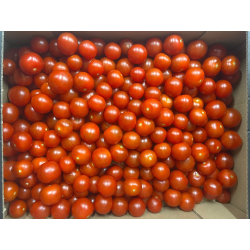 Cherry tomater, 4 kg